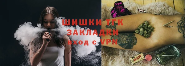гидра Новозыбков