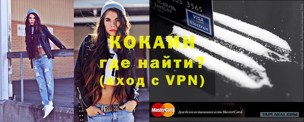 гидра Новозыбков